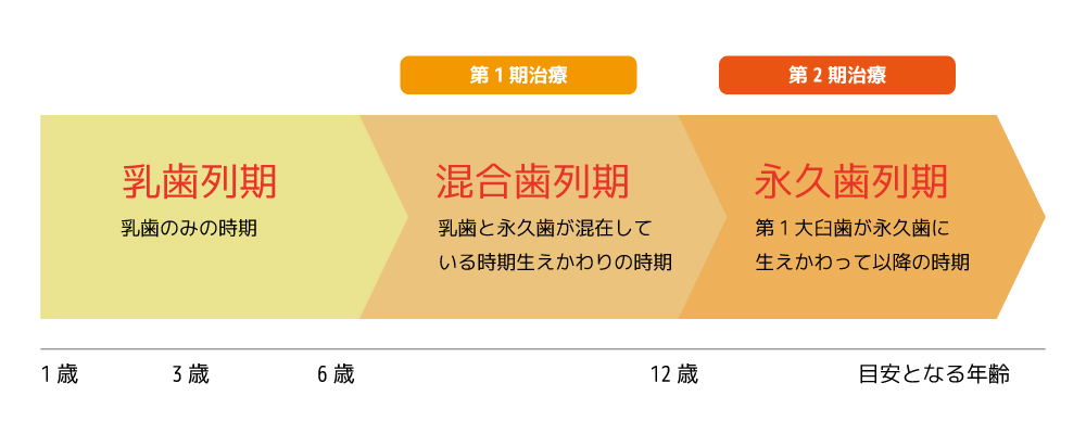 第Ⅰ期と第Ⅱ期の2段階で矯正治療